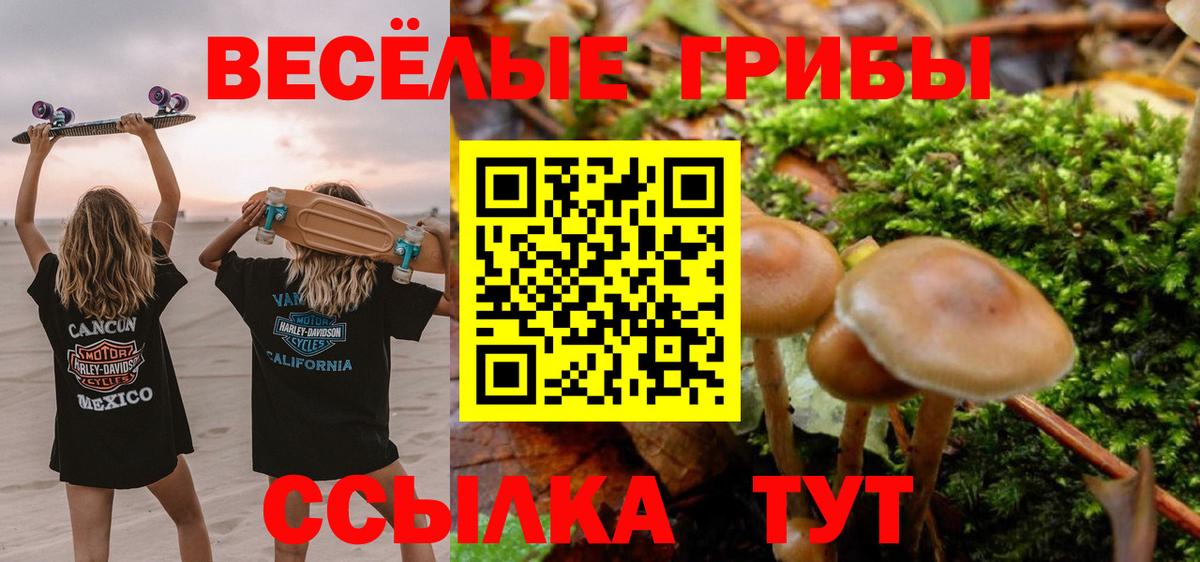 Галлюциногенные грибы мицелий Тосно