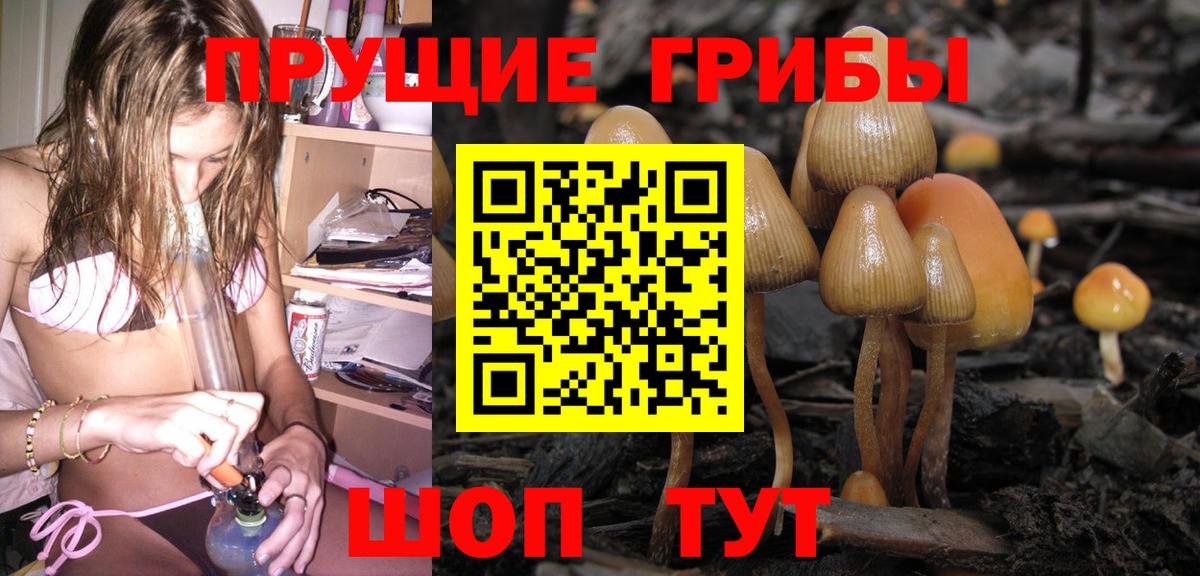 Галлюциногенные грибы ЛСД  Вход с VPN  купить наркоту  Псилоцибиновые грибы Psilocybine cubensis  Тосно 