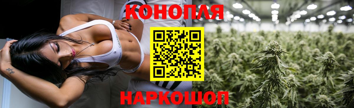 Шишки марихуана конопля  Бошки Шишки индика  Тосно  Вход с VPN  Бошки марихуана ГИДРОПОН 